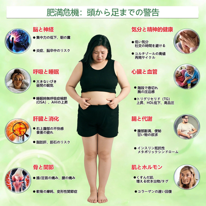 🎁🎁 残りわずか5セット！本日限定でさらに50％オフ、この機会により健康的な自分を手に入れましょう。逃してしまうと、次のチャンスは来年まで待たなければならないかもしれません。 👍